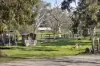 12 Crofters Hill Way, Somerville, Vic 3912-Image