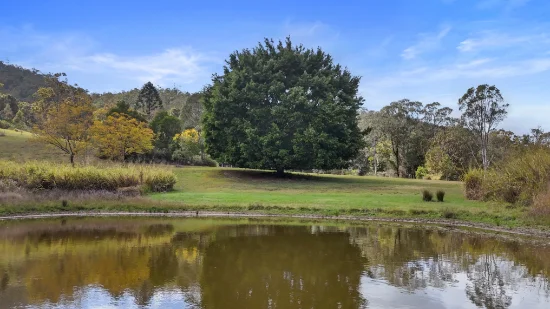12 Little Bella Creek Road, Bella Creek, Qld 4570