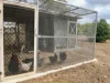 12 Powell Road, Mareeba, Qld 4880-Image