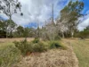 12 Powell Road, Mareeba, Qld 4880-Image