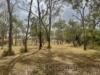 12 Powell Road, Mareeba, Qld 4880-Image