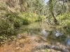 12 Powell Road, Mareeba, Qld 4880-Image