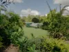 12 Red Cedar Close, Lawrence, NSW 2460-Image