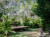 12 Red Cedar Close, Lawrence, NSW 2460-Image
