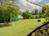 12 Red Cedar Close, Lawrence, NSW 2460-Image