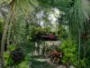12 Red Cedar Close, Lawrence, NSW 2460-Image