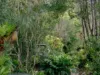 12 Red Cedar Close, Lawrence, NSW 2460-Image