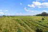 120 & 188 Hawkesbury Valley Way, Clarendon, NSW 2756-Image