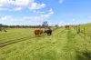 120 & 188 Hawkesbury Valley Way, Clarendon, NSW 2756-Image