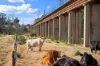 120 & 188 Hawkesbury Valley Way, Clarendon, NSW 2756-Image