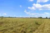 120 & 188 Hawkesbury Valley Way, Clarendon, NSW 2756-Image
