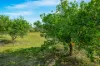 120 Clarkson Drive, Curra, Qld 4570-Image