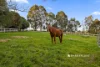 120 Stock Road, Drouin West, Vic 3818-Image