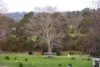 120 Stock Road, Drouin West, Vic 3818-Image