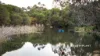 120 Stock Road, Drouin West, Vic 3818-Image