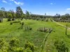 1203 Bauple Woolooga Road, Gundiah, Qld 4650-Image