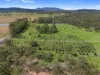 1203 Bauple Woolooga Road, Gundiah, Qld 4650-Image