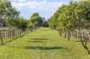 121 Balnarring Road, Balnarring, Vic 3926-Image