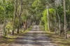 121 Balnarring Road, Balnarring, Vic 3926-Image