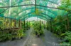 121 Douglas Track, Speewah, Qld 4881-Image
