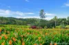 121 Douglas Track, Speewah, Qld 4881-Image