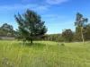 121 Eglinford Lane, Congewai, NSW 2325-Image