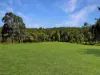 121 Eglinford Lane, Congewai, NSW 2325-Image