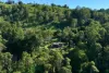 121 Hovard Road, Bald Knob, Qld 4552-Image
