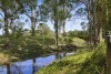 121 Neill Road, Mooloolah Valley, Qld 4553-Image
