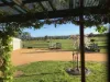 121 Victoria Street, Briagolong, Vic 3860-Image