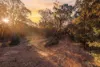 1215  Barkers Lodge Road, Oakdale, NSW 2570-Image