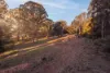 1215  Barkers Lodge Road, Oakdale, NSW 2570-Image