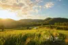 1216 Sandy Creek Road, Sandy Creek, Qld 4515