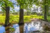 1216 Sandy Creek Road, Sandy Creek, Qld 4515-Image
