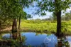 1216 Sandy Creek Road, Sandy Creek, Qld 4515-Image