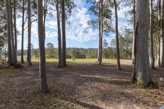 122 Koribah Lane, Dyers Crossing, NSW 2429-Image