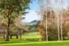 123 Hesket-Boundary Road, Hesket, Vic 3442-Image
