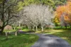 123 Hesket-Boundary Road, Hesket, Vic 3442-Image