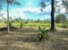 123 Kay Road, Mareeba, Qld 4880-Image