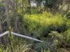 123 Kay Road, Mareeba, Qld 4880-Image