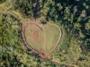 123 Lutter Road, Charlwood, Qld 4309-Image