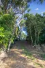 123 Lutter Road, Charlwood, Qld 4309-Image