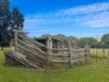 124 Russell Road, Lake Eacham, Qld 4884-Image