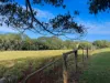 124 Russell Road, Lake Eacham, Qld 4884-Image