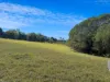 124 Russell Road, Lake Eacham, Qld 4884-Image