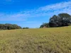 124 Russell Road, Lake Eacham, Qld 4884-Image