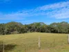 124 Russell Road, Lake Eacham, Qld 4884-Image