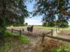 1245 Baxter-Tooradin Road, Devon Meadows, Vic 3977-Image