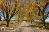 125 Burtons Lane, Orange, NSW 2800-Image
