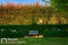 125 Burtons Lane, Orange, NSW 2800-Image